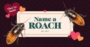 Name a Roach.