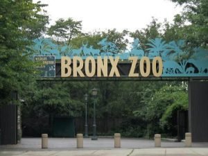 BRONX ZOO