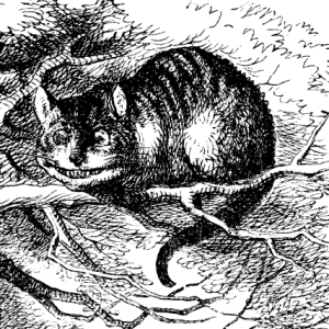 O GATO QUE RI 