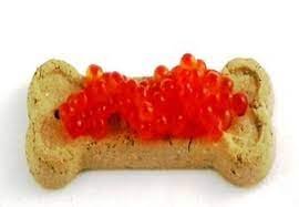 caviar para cachorros da marca Beverly Hills Caviar