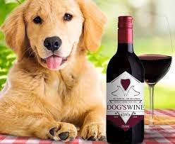 VINHO CANINO