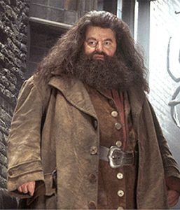 Rúbeo Hagrid
