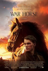 CAVALO DE GUERRA 