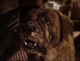 CUJO