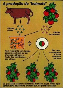 A pegadinha di Bomate