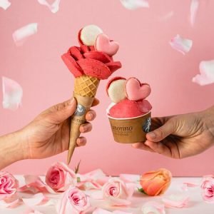 AMORINO SORVETERIA DE PARIS