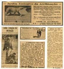 JORNAIS DESTACAVAM O URSO MAURÍCIO