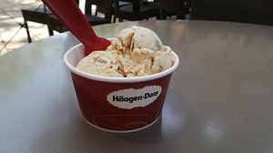 sorvete Häagen-Dazs - ORIGEM DO NOME