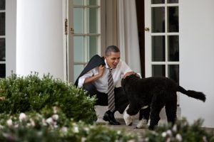 OBAMA E O SEU CACHORRO DE ESTOMAÇÃO