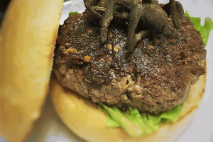 HAMBURGUER DE ARANHA 