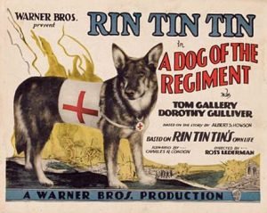 RIN TIN TIN