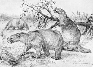 Mapinguari
