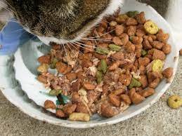 COMIDA PARA GATO SABOR RATO 