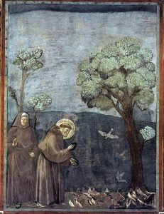 SÃO FRANCISCO DE ASSIS