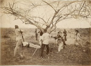 CANUDOS