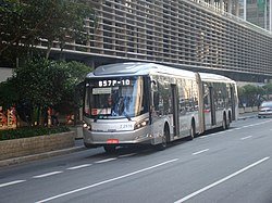 ÔNIBIS NA CIDADE DE SÃO PAILO