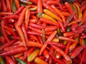 PIMENTA