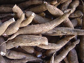 MANDIOCA