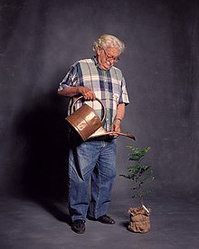 Roberto Burle Marx