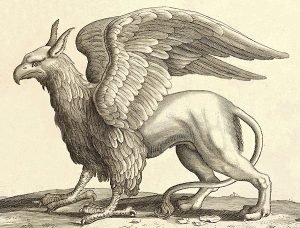 Grifo
